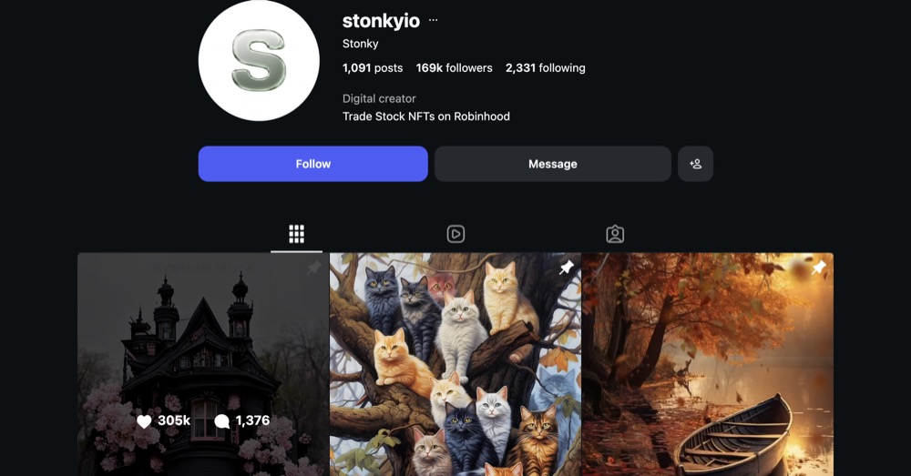 Stonky Instagram profile with 169 thousand followers